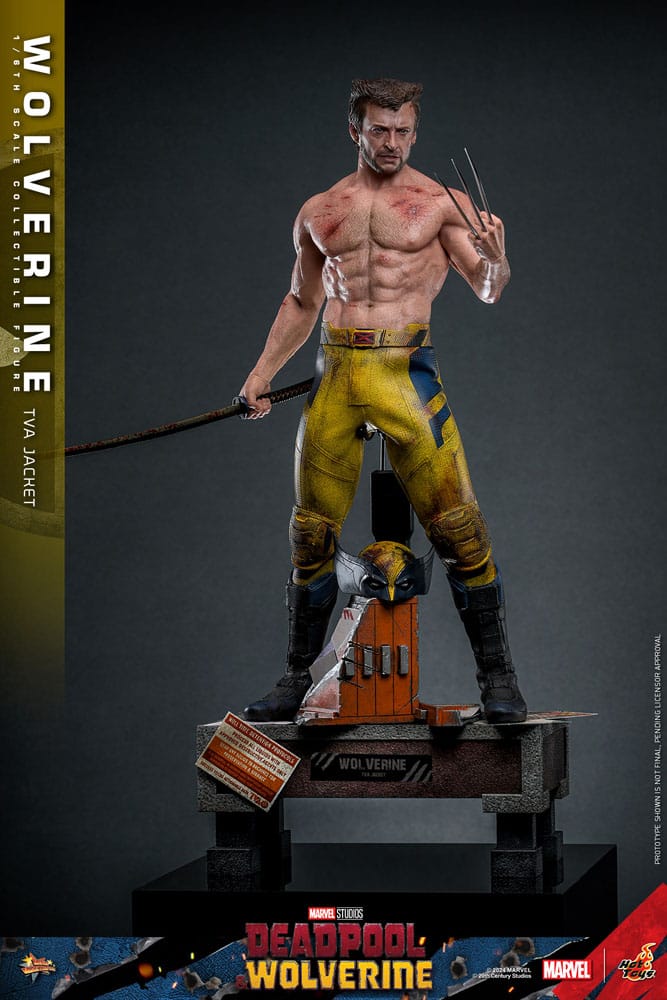 Deadpool Wolverine Movie Masterpiece figurine 1/6 Wolverine (TVA Jacket Version) 31 cm
