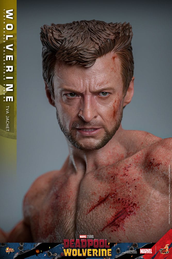 Deadpool Wolverine Movie Masterpiece figurine 1/6 Wolverine (TVA Jacket Version) 31 cm