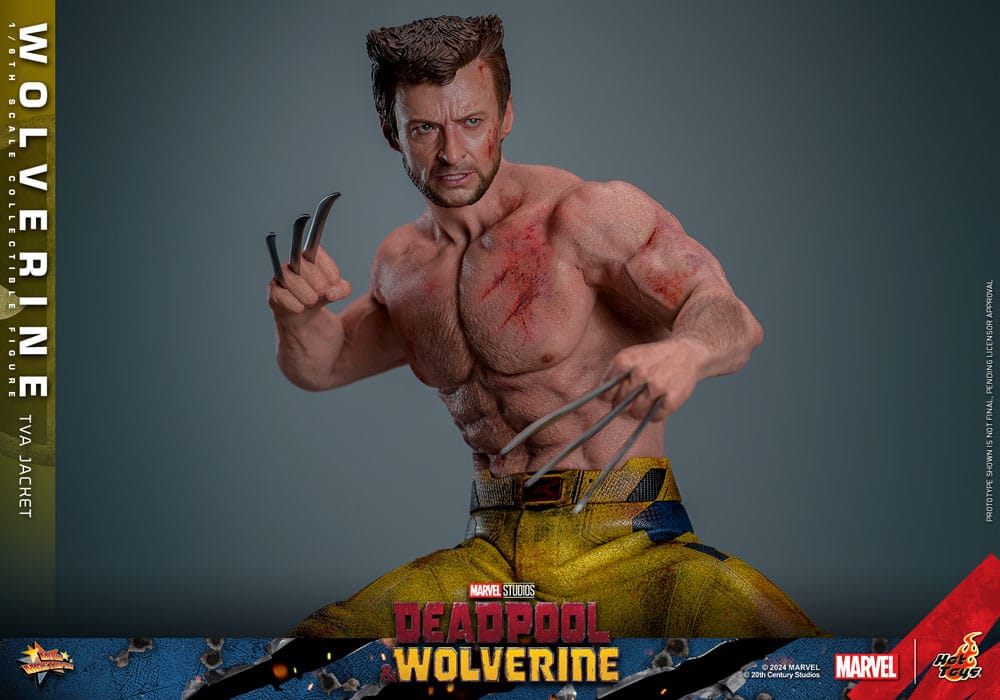 Deadpool Wolverine Movie Masterpiece figurine 1/6 Wolverine (TVA Jacket Version) 31 cm