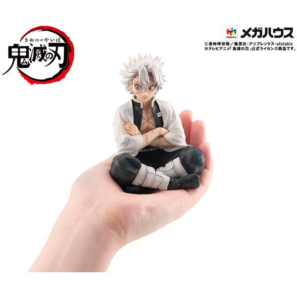 Demon Slayer Kimetsu no Yaiba : Statuette PVC Shinazugawa-san Palm Size 9 cm