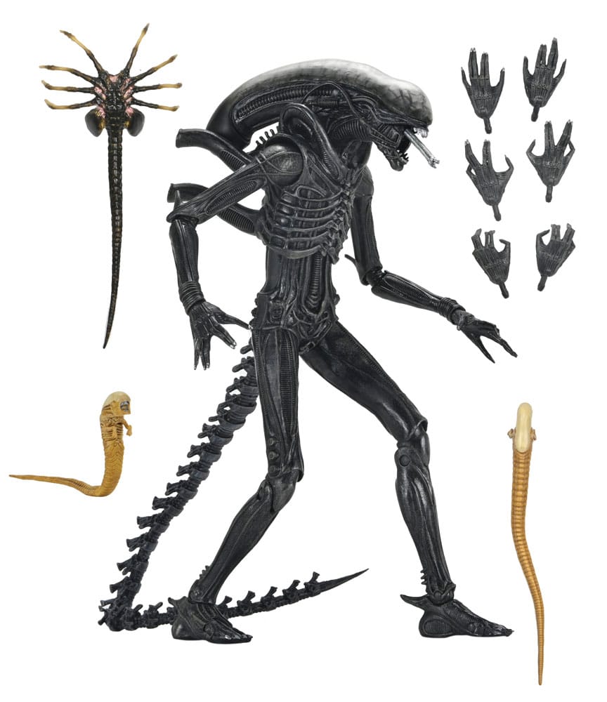 Alien: Romulus figurine Ultimate Xenomorph XX121 18 cm