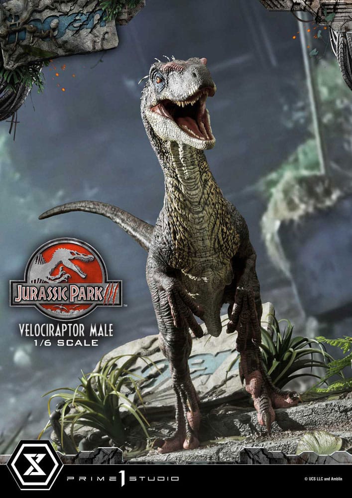 Jurassic Park III statuette Legacy Museum Collection 1/6 Velociraptor Male 40 cm