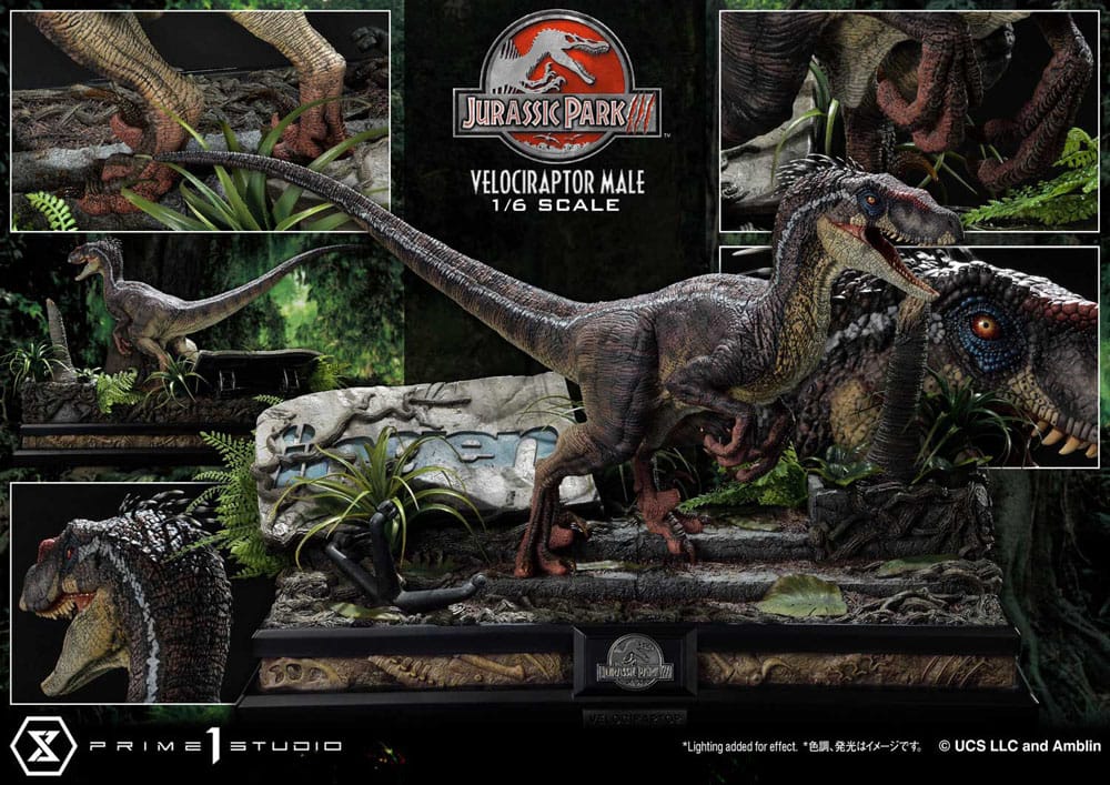 Jurassic Park III statuette Legacy Museum Collection 1/6 Velociraptor Male 40 cm