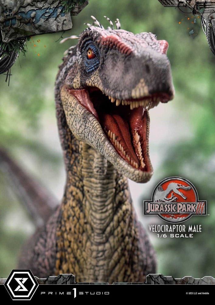 Jurassic Park III statuette Legacy Museum Collection 1/6 Velociraptor Male 40 cm