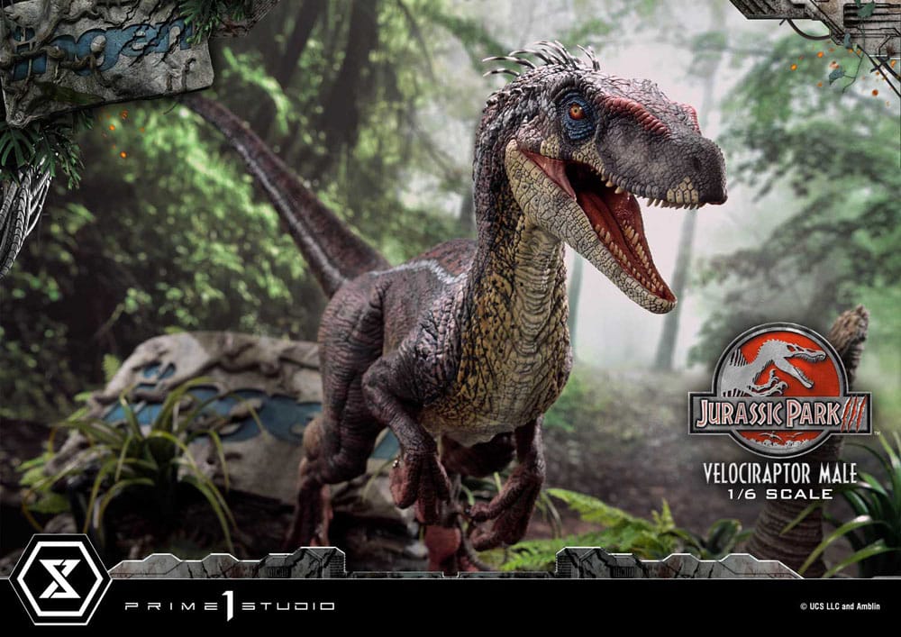 Jurassic Park III statuette Legacy Museum Collection 1/6 Velociraptor Male 40 cm