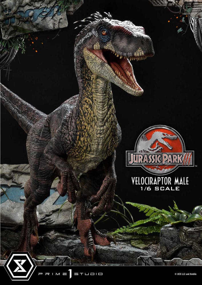Jurassic Park III statuette Legacy Museum Collection 1/6 Velociraptor Male 40 cm