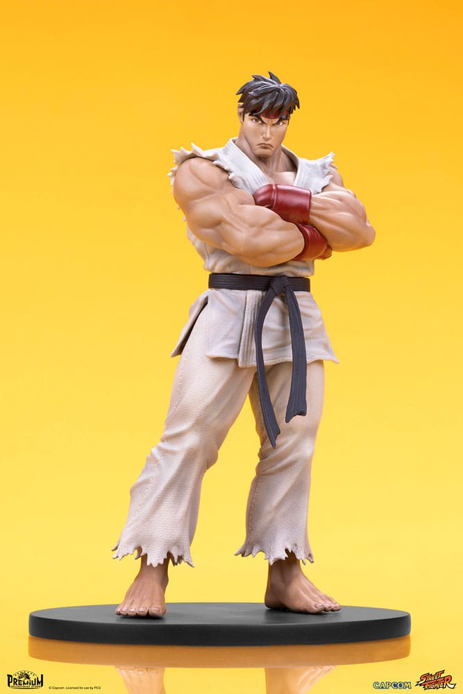 Street Fighter statuettes Ryu & Dan