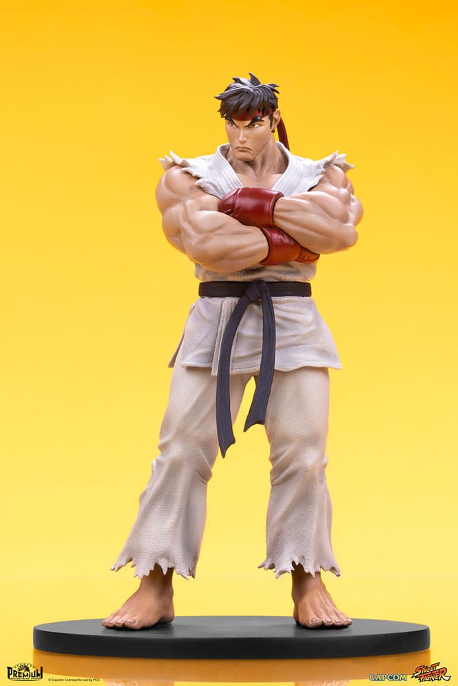 Street Fighter statuettes Ryu & Dan