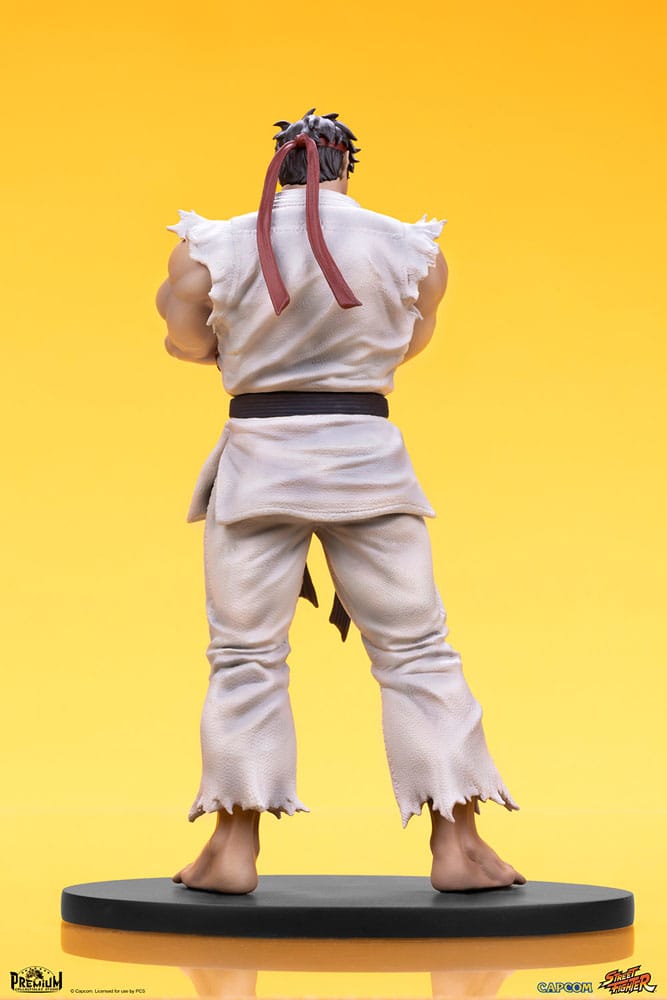 Street Fighter statuettes Ryu & Dan