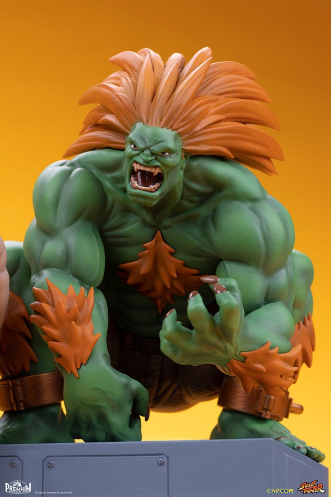 Street Fighter statuettes PVC 1/10 Blanka & Fei Long 21 cm