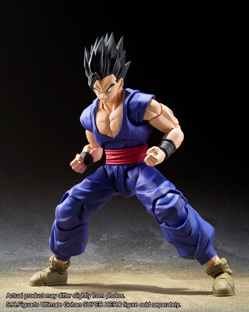 Dragon Ball Super: Son Gohan Beast