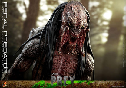 Prey figurine 1/6 Feral Predator 37 cm