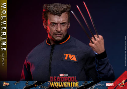 Deadpool Wolverine Movie Masterpiece figurine 1/6 Wolverine (TVA Jacket Version) 31 cm