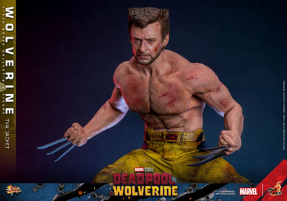 Deadpool Wolverine Movie Masterpiece figurine 1/6 Wolverine (TVA Jacket Version) 31 cm