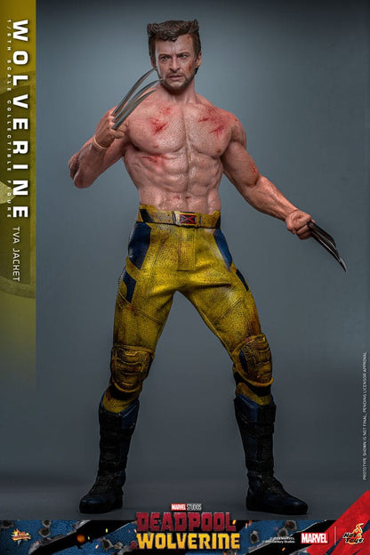 Deadpool Wolverine Movie Masterpiece figurine 1/6 Wolverine (TVA Jacket Version) 31 cm