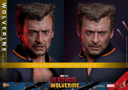 Deadpool Wolverine Movie Masterpiece figurine 1/6 Wolverine (TVA Jacket Version) 31 cm
