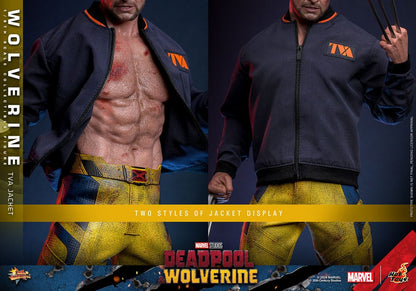 Deadpool Wolverine Movie Masterpiece figurine 1/6 Wolverine (TVA Jacket Version) 31 cm