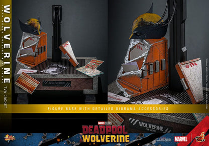 Deadpool Wolverine Movie Masterpiece figurine 1/6 Wolverine (TVA Jacket Version) 31 cm