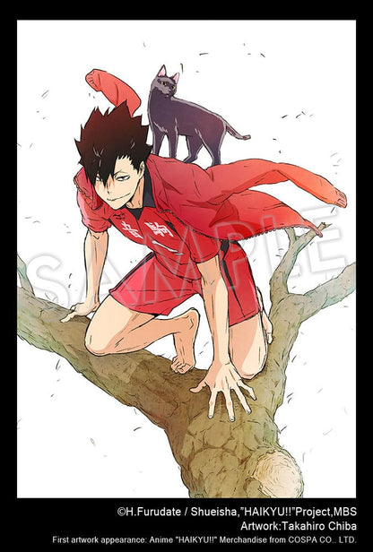 Haikyu!! statuette PVC ARTFXJ 1/8 Tetsuro Kuroo 24 cm
