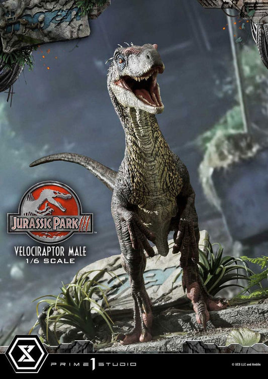 Jurassic Park III statuette Legacy Museum Collection 1/6 Velociraptor Male 40 cm