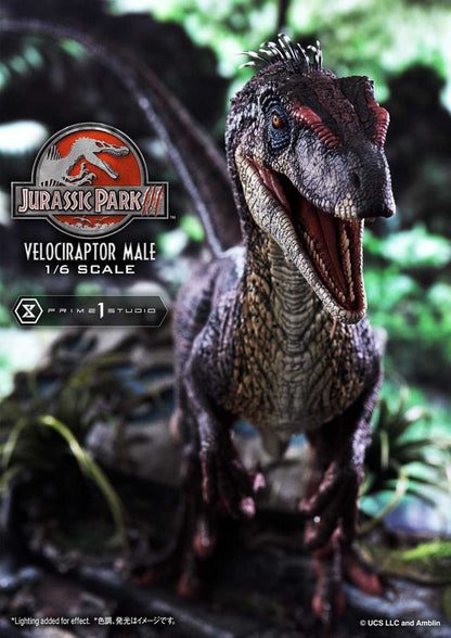 Jurassic Park III statuette Legacy Museum Collection 1/6 Velociraptor Male 40 cm