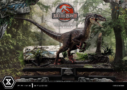 Jurassic Park III statuette Legacy Museum Collection 1/6 Velociraptor Male 40 cm