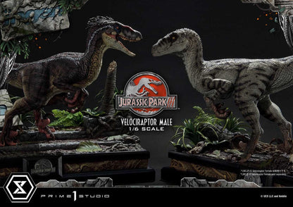 Jurassic Park III statuette Legacy Museum Collection 1/6 Velociraptor Male 40 cm