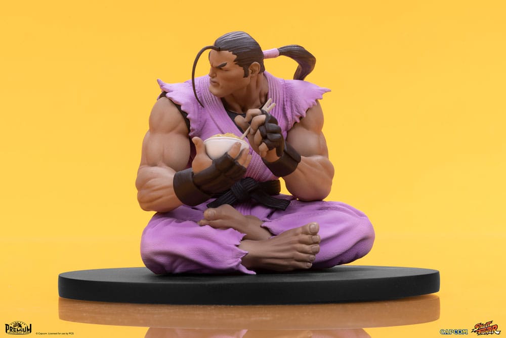 Street Fighter statuettes Ryu & Dan