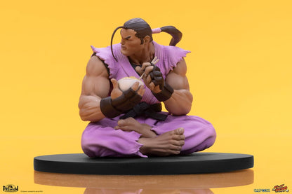 Street Fighter statuettes Ryu & Dan